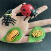 Children Simulation Biology Model Toy Animal Plant Life Growth Cycle Montessori Children Toys Set Teaching Aids Educational Toys
