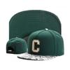 Spring New C Embroidery Cap Baseball Cap for Men Women Knight Snapback Hat Adult HipHop Outdoor Casual Designer Gorras Hombre