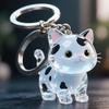 Keychain Pendant Transparent Cat Design Pet Hair Storage Box Key Chain Pet Hair Pendant Keyring Hair Storage Bottle Keychain