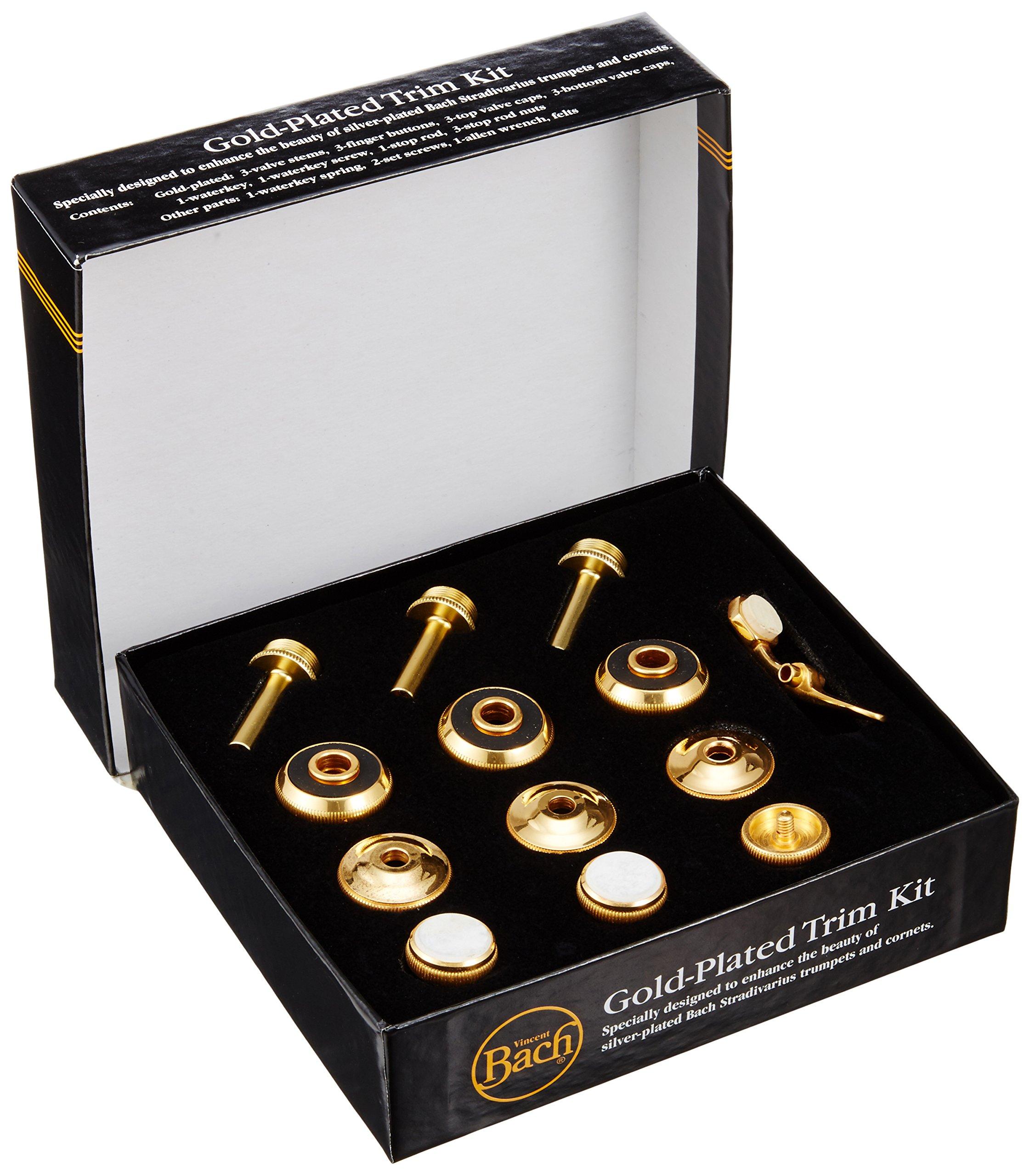 

Back Trumpet Trim Kit Gold Plated Parts Set Normal Weight [1811G] золотий