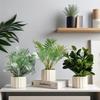Nordic Style Artificial Potted Plants for Indoor Decor: Perfect for Living Rooms, Offices, and Desktops