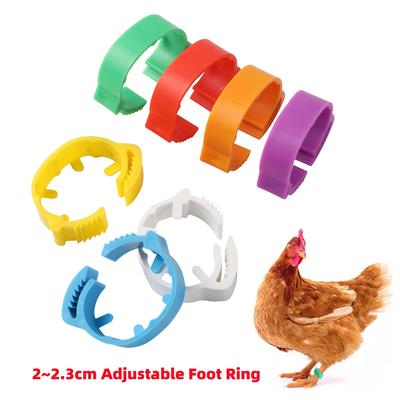 Inner Diameter 2~2.3cm Adjustable Chicken Foot Ring 7 Colors Poultry Leg Farm Identification Marker Tool for Chicken Duck 35Pcs