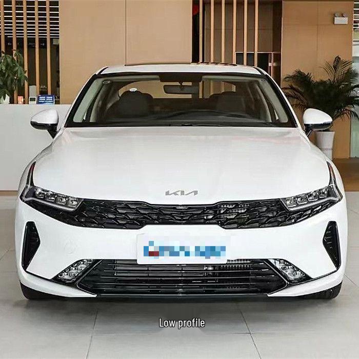 Kia K5 (2020-2025) Front Grille Air Intake Assembly - High/Low Trim Bumper Mesh Grille
