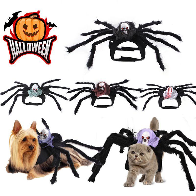 Halloweenowy Kostium Zwierzęcy Psa Kota Symulacja Czaszki Czarny Pająk