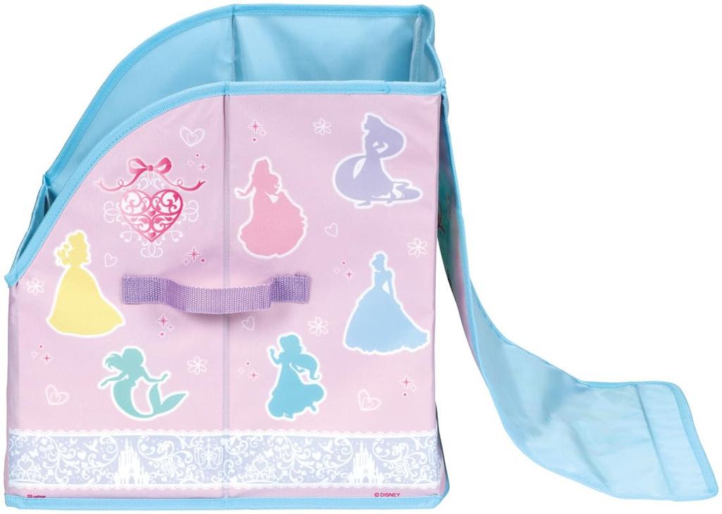 Skater School Backpack Storage Princess SRBX1 Case, Disney,