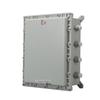 Explosion-Proof Industrial Electrical Control Box