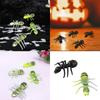 Lightweight Portable Ants Model For Outdoor Activities And Science Learning Projects