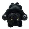 Sun Lemon Lap Cat Plush Toy Small Black