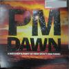 12inch Record P.M. DAWN  A Watchers Point Of View Dont Ch AMDJ080691 Gee Street 1991 US Dance  Electronica Used