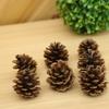 1-15Cm Natural Pine Cone Christmas Decoration Pendant Creative Ornament Shooting Prop Dried Flower Pine Tower