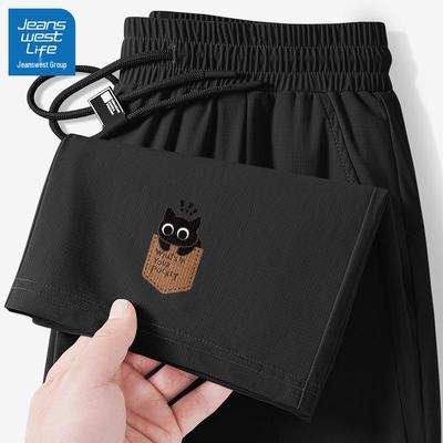 JEANSWEST LIFE Men's 2025 Summer Ice Silk Straight Leg Casual Pants