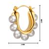 Trendy European & American 18K Gold Pearl Earrings: Niche Design in Stainless & Titanium Steel