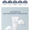 esfolio - Hyaluronic Acid Houttuynia Cordata Cleansing Foam
