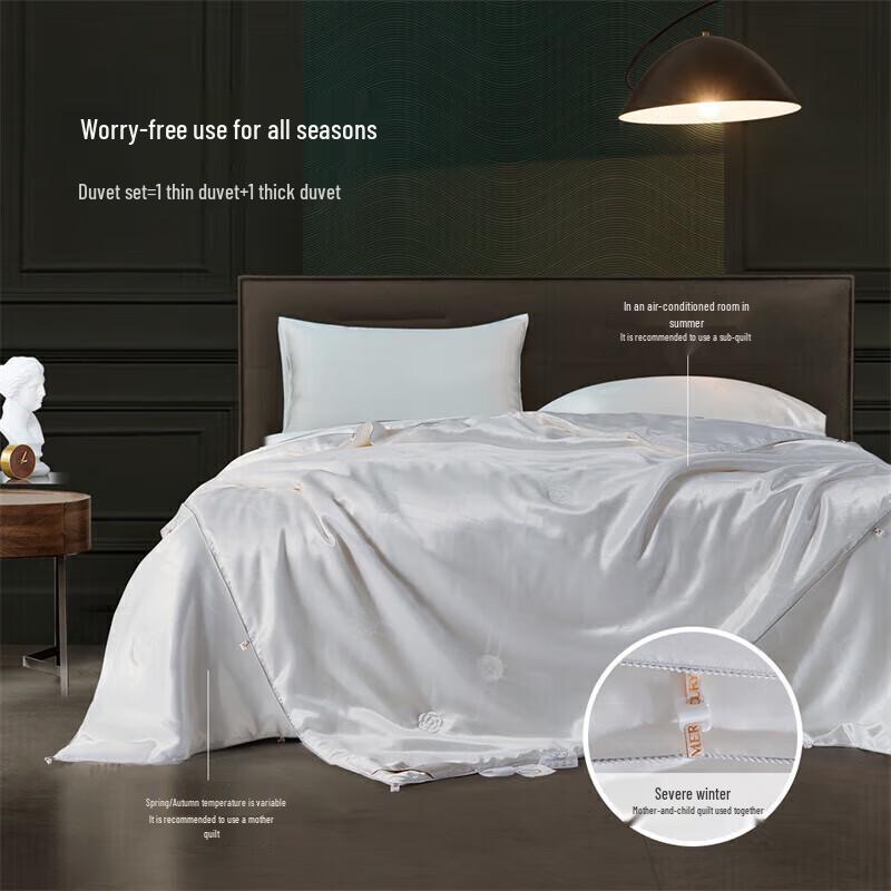 

Mercury Antibacterial Tussah Silk All-Season Duvet