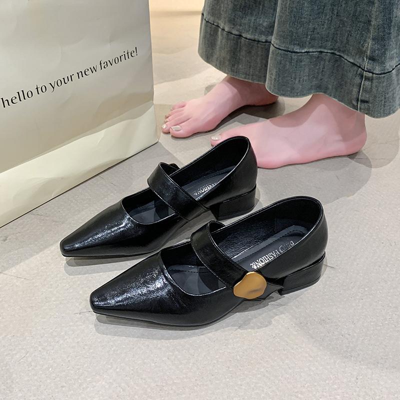 French Style Thick Heel Shallow Mouth Single Shoe for Women, Spring  New Style Pointed Fashion Mary Jane Small Leather Shoes