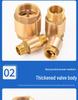 Brass One-Way Lift Check Valve & Backflow Preventer for Water Systems