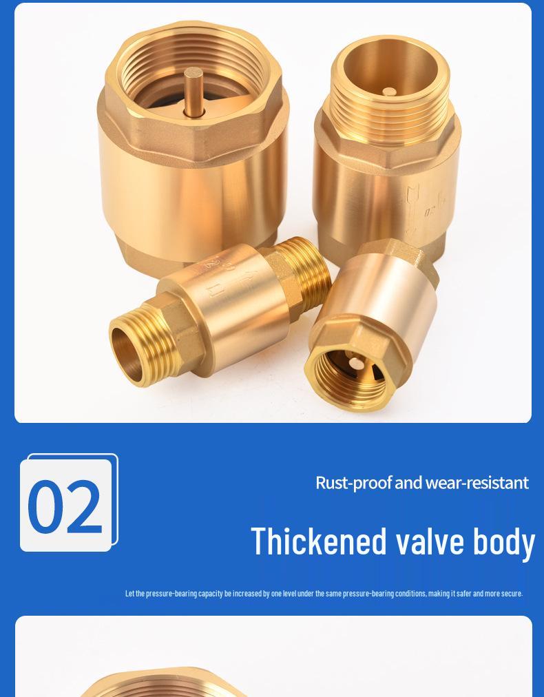 Brass One-Way Lift Check Valve & Backflow Preventer for Water Systems
