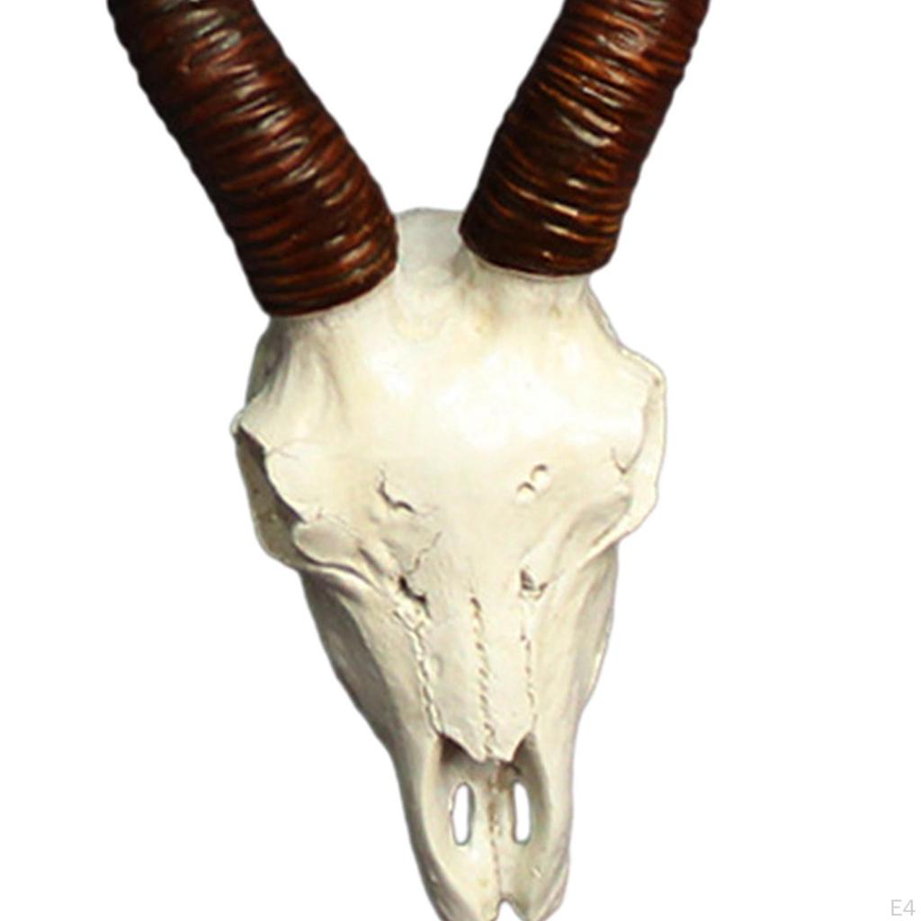 Animal Wall Art for Home Decoration