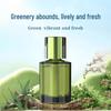 Long-Lasting Car Air Freshener and Odor Remover for Bedroom and Hotel