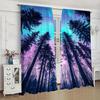 Set Of 2 Northern Lights Sky Night Printed Curtains Shade Privacy Protection Suitable Decorating Various Rooms Curtain Polyester