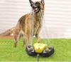 Interactive Paw Pedal Design Dog Water Fountain Dog Garden Outdoor Step On Water Feeder Outdoor Dog Toy