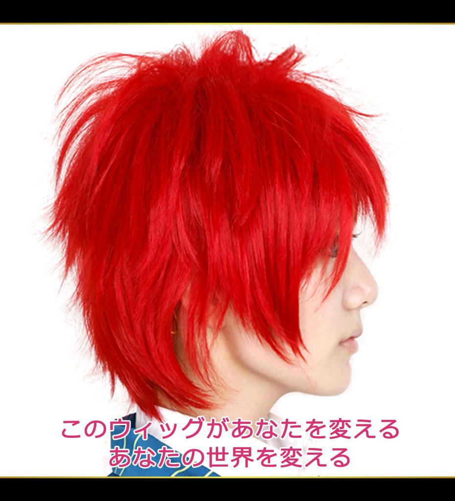 CaseEden Cosplay Wig, Short, 30cm, Heat-Resistant, Deep Red, Includes 2 Wig Nets