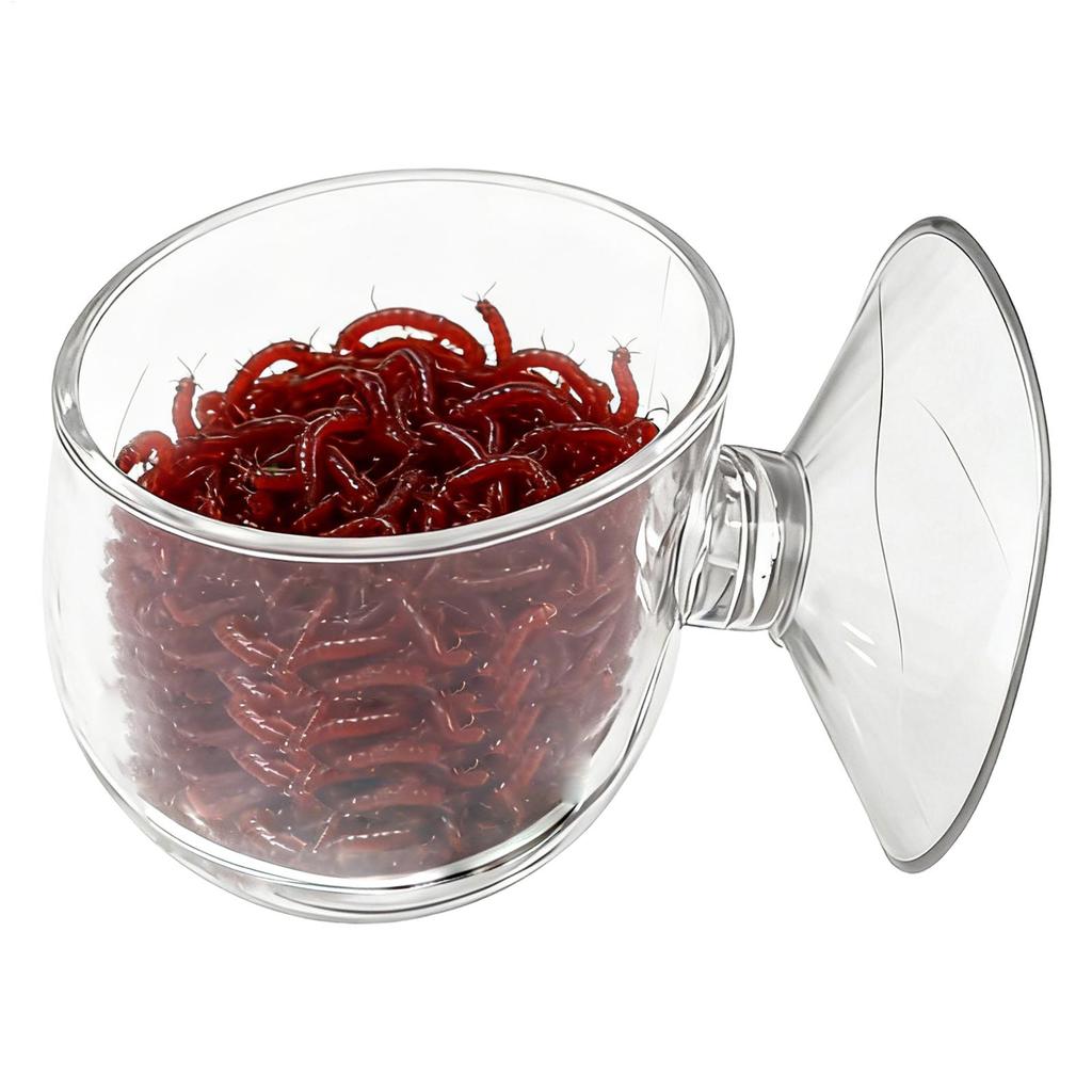 S/L Shrimp Feeding Dish High Transparent Feeding Dish Fish Tray With Suction Cup For Tank Reptile Tortoise Gecko Bearded Feeder