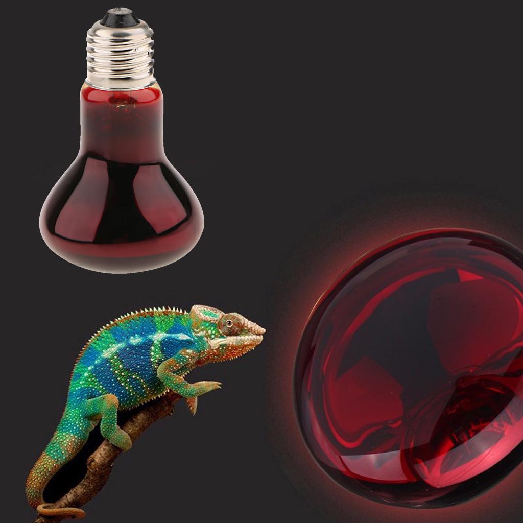 Buy Reptile Tortoise Amphibian Nightlight Infrared Light E27 Base Heat Lamp 40W at affordable