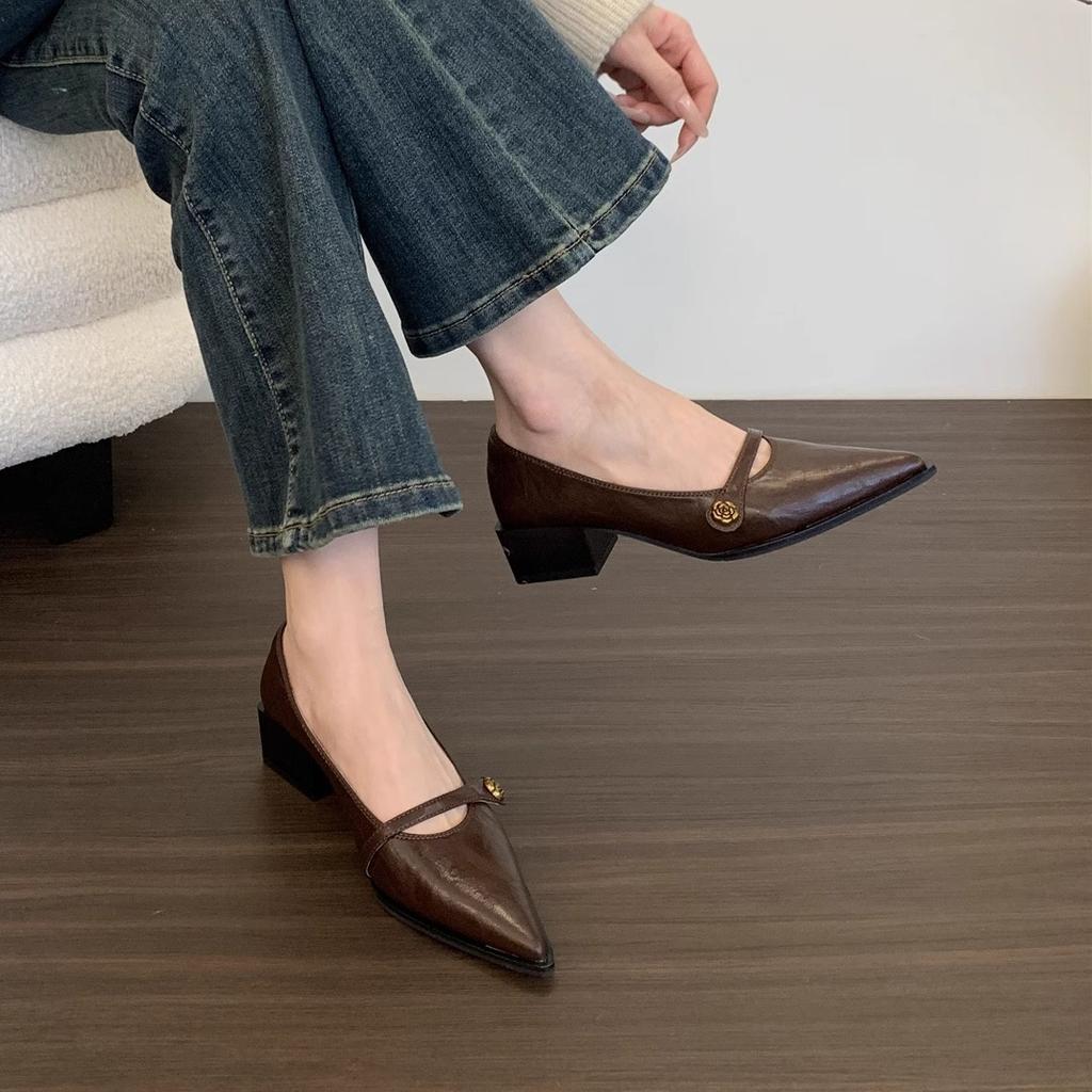 Pointed head shallow mouth single shoes women's middle heel 2025 new French retro commuter brown thick heel Mary Jane small leather shoes