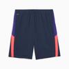 Puma INDIVIDUALLIGA TRAINING 2 Men's Shorts Navy Blue 65951901 R S