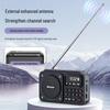 Radio Portatile AM/FM Newmine N123 Spina CN (adattatore incluso)