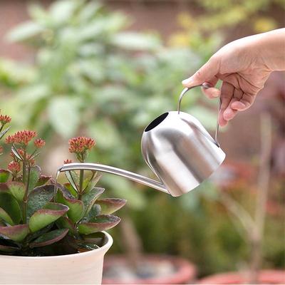 Stainless Steel Long Spout Watering Kettle for Succulent and Potted Plant Gardening