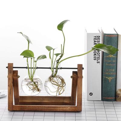 Decoração Bonsai Terrário Vaso de Flores de Mesa Vaso de Vidro Moldura de Madeira Vasos de Plantas Hidropônicas