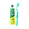 Double Mint Toothpaste & Toothbrush Travel Kit