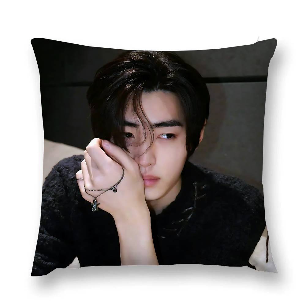 Popular Korean Boy Band Ssunghoons Pillow Case Throw Pillow Cover Nordic Vintage Style Cushion Covers Home Living Room Sofa C