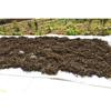 Fuding old white tea, alpine old white tea Gongmei Shoumei sun-dried tea 350g white tea cake wholesale in bulk