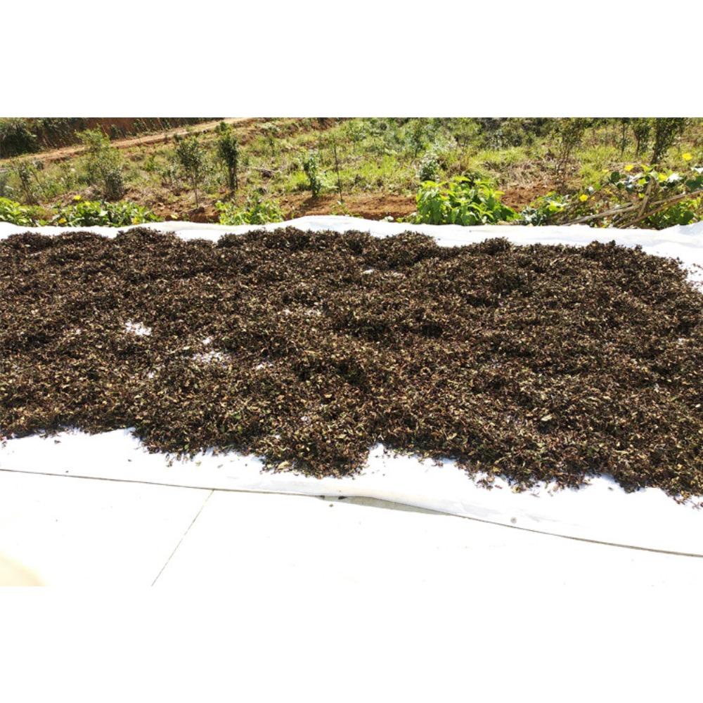 Fuding old white tea, alpine old white tea Gongmei Shoumei sun-dried tea 350g white tea cake wholesale in bulk