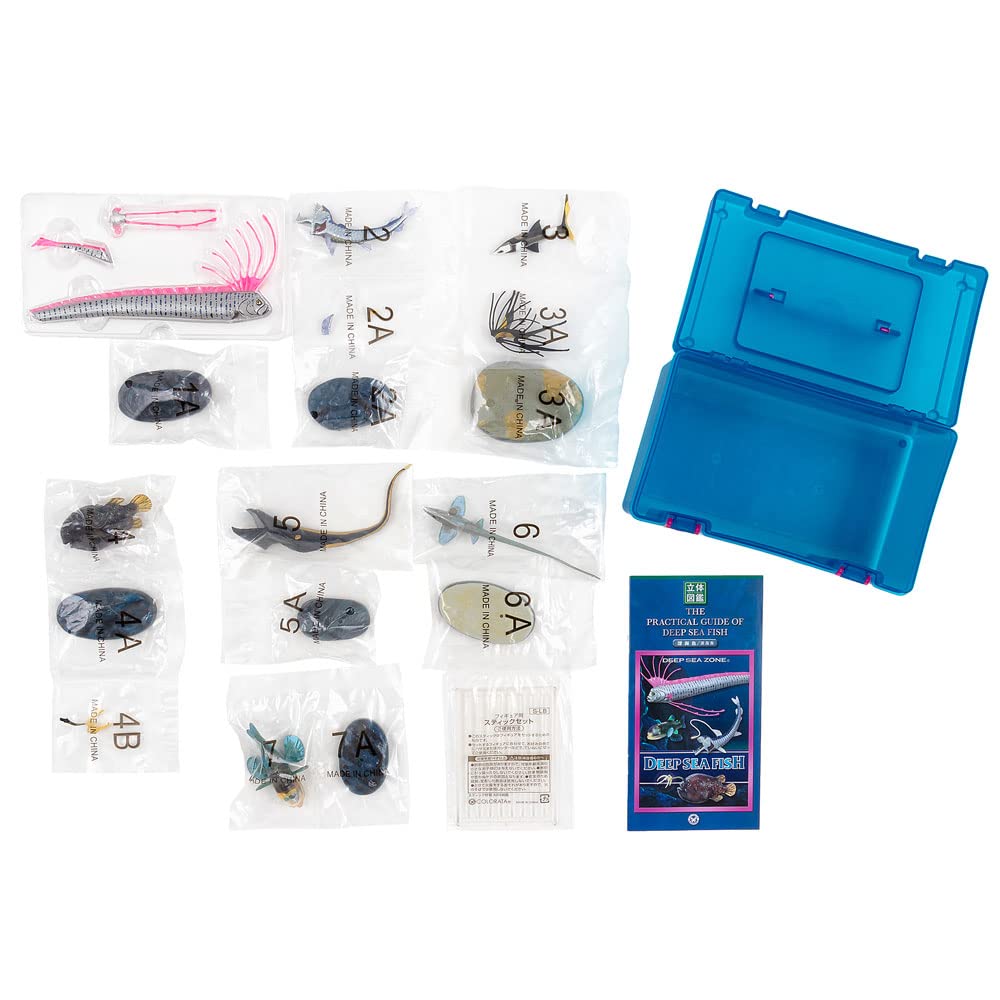 Calorata 3D Fish Figures Species Includes Realistic Toy Birthday Gift Sanitation Law Realistic Figure Box Gift Deep-Sea (7 / Instructions)