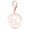 Joias e bijuteria – Charms