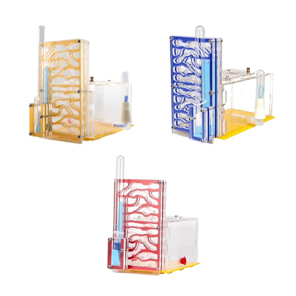 ANT Housing Nest DIY Funny Toys with Feeder Acrylic Habitat for Children's Day Lovers Decoration Tabletop Science Observation