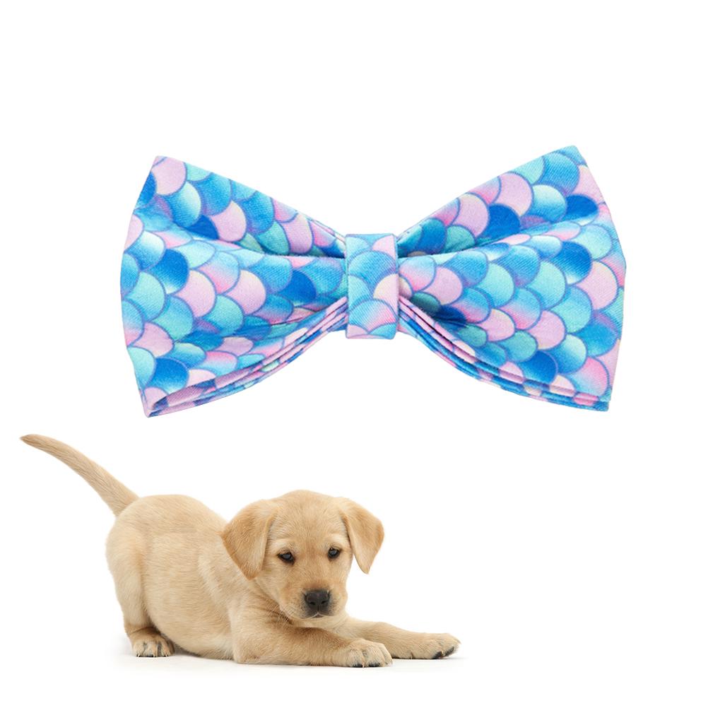 Buy 1Pc Pet Collar Bow Tie Practical Detachable Chic Collar Bow Tie for
