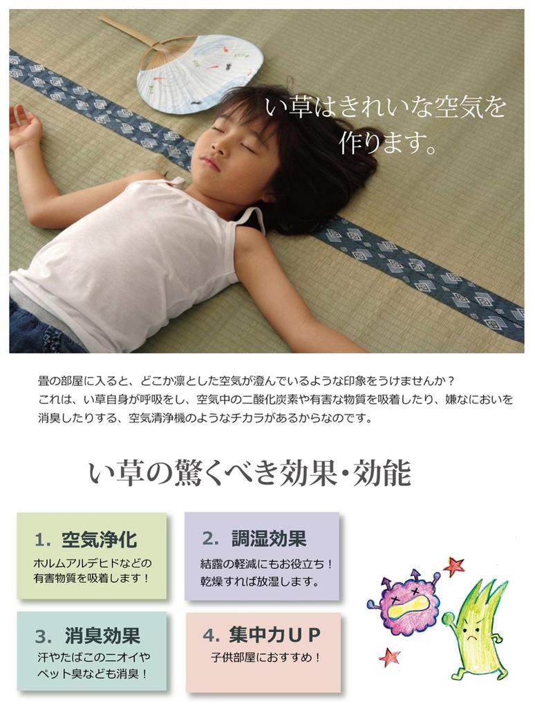 Ikehiko Igusa Rug Smile Honma 8 tatami mat 382 x 382 cm Made in Japan Overlay Carpet Double Weave Hiba Processing Beige approx. #1104288