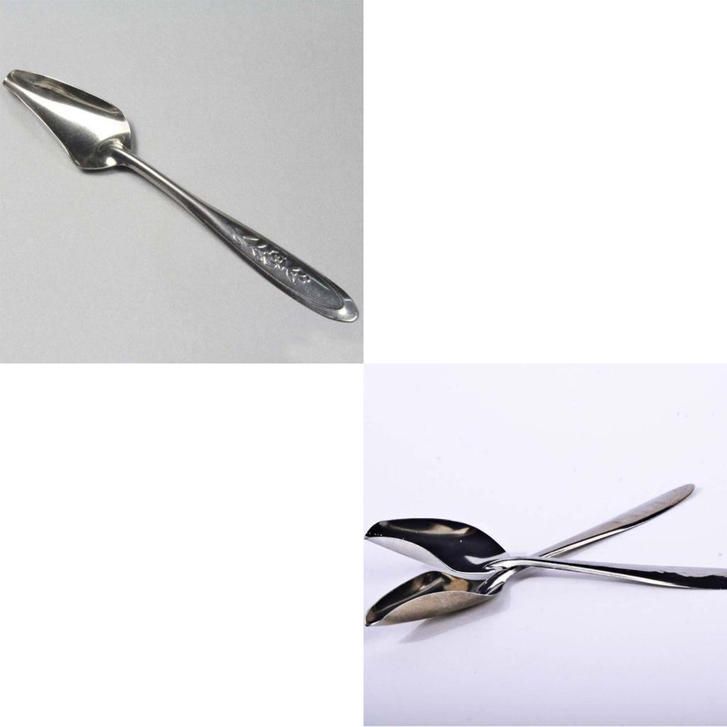 5pcs Bird Feeding Spoons Stainless Steel Feed Young Birds Metal Drinker CN