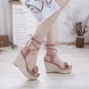 Fashionable Thick Sole Slope Heel Sandals 2024 Summer New Elegant and Versatile Sexy High Heel Shoes Comfortable Strap Sandals