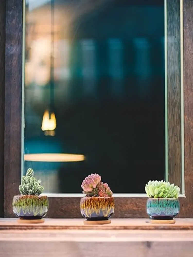 Vaso Fioriera Creativo in Resina da Scrivania per Giardinaggio Domestico Succulente Balcone