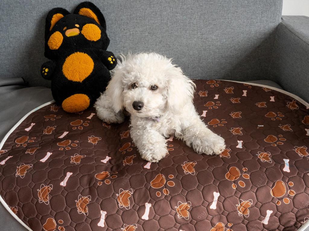 Pet Non-Slip Tear-Resistant Dog Mat - Waterproof for Dog House Use