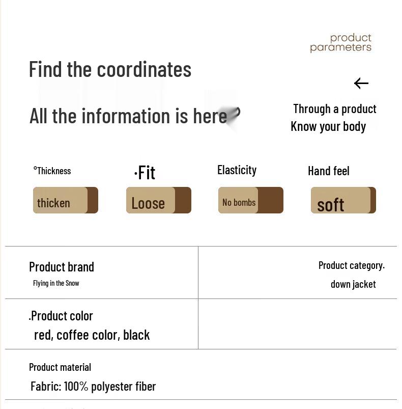 Snowflying Women's Casual Winter Down Jacket with Detachable Hood