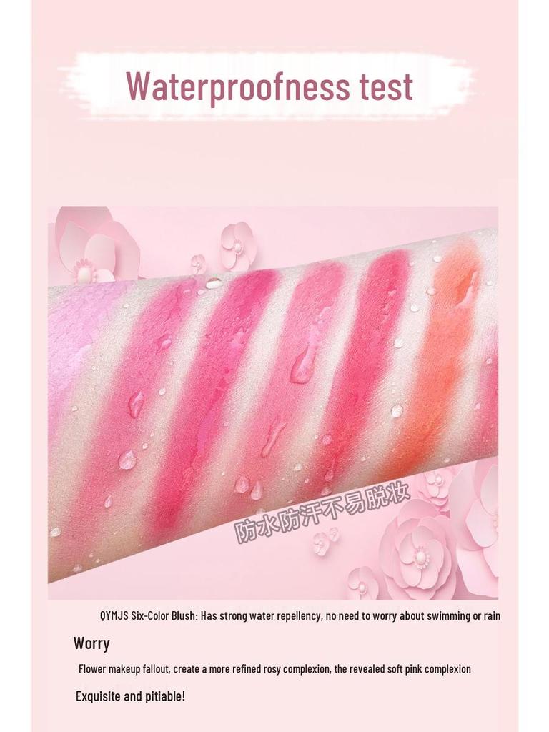 Six-Color Blush Palette: Large Multi-Tone Rouge for Makeup Artists and Students - Ideal for Studio and Stage.