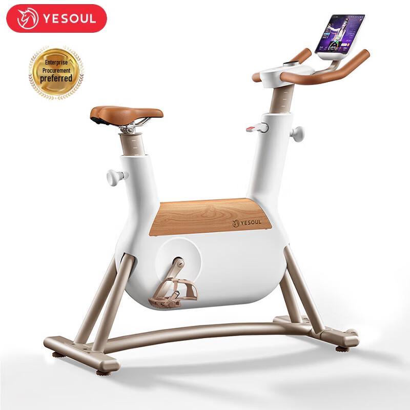 Yesoul R6 Smart Indoor Cycling Bike