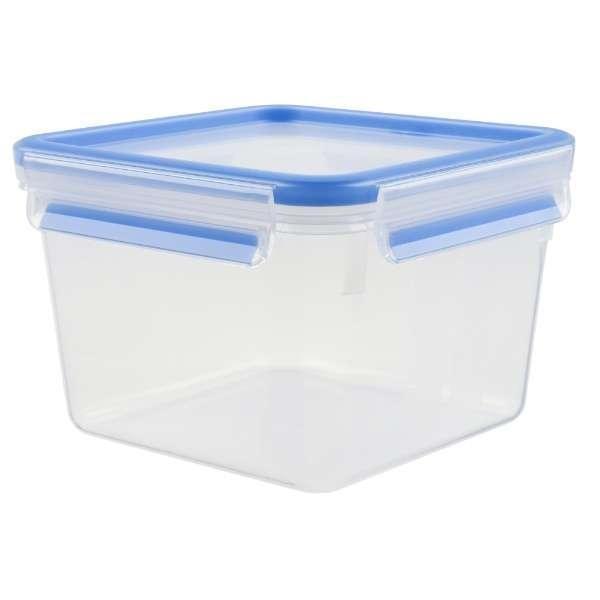 Japan Tfal Master Seal RectangleSquare Storage Container